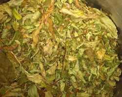 Dried Mint.jpg